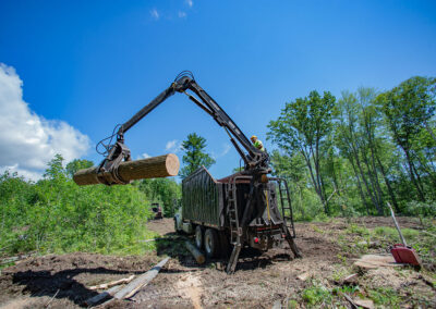 Onsite Logging tree removal, Green Bay, WI photo