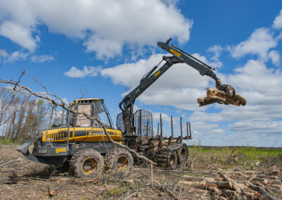 Onsite Logging tree removal, Lawrence, WI photo