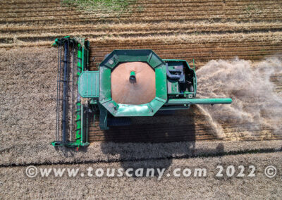 John Deere Combine with header cutting winter wheat photo