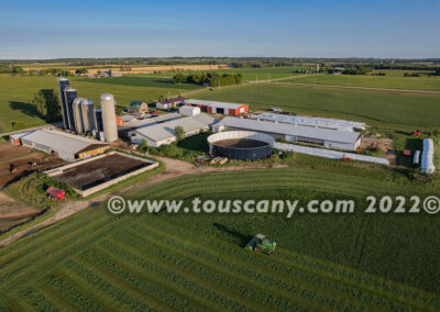 Alfalfa Harvest in NE Wisconsin photo