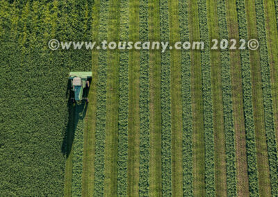Alfalfa Harvest in NE Wisconsin photo