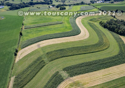 Contoured Farm Field in Wisconsin photo