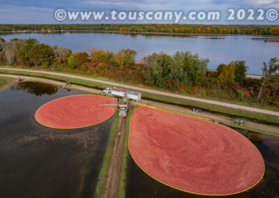 Cranberries are corralled into the corner of the marsh photo