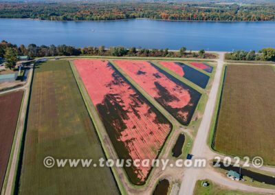 Wisconsin cranberry bogs photo