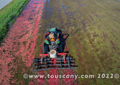 A Harrow Tractor in the Cranberry Marsh photo