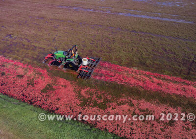 A Harrow Tractor in a central Wisconsin Cranberry Bog photo