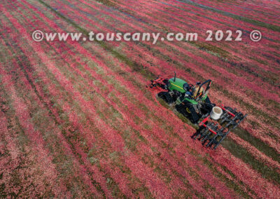 A Harrow Tractor in a central Wisconsin Cranberry Bog photo