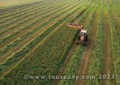 Cutting Alfalfa with a Hydroswing Swather photo