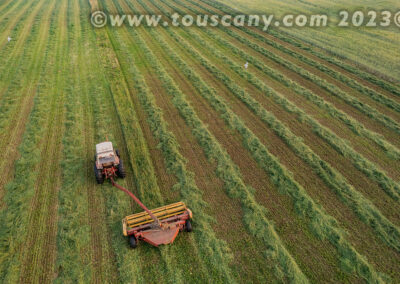 alfalfa-cutting photo