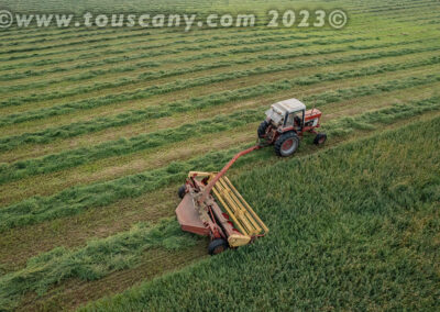 Cutting Alfalfa with a Hydroswing Swather Photo
