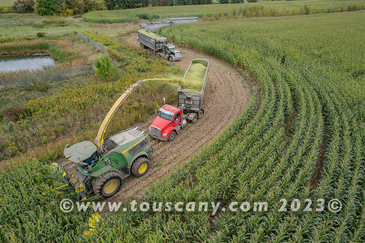 Chopping Corn Photo