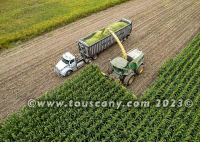 Chopping and Harvesting Corn photo