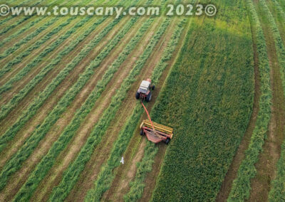 Cutting Alfalfa in Northeastern Wisconsin photo