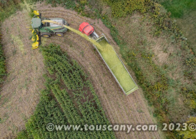Chopping and harvesting corn in Northeastern Wisconsin photo