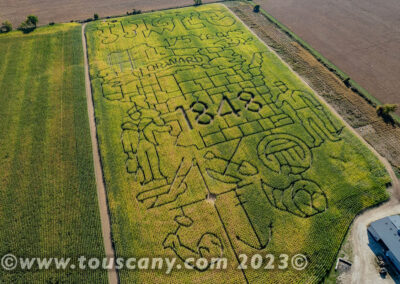 The Red Barn Corn Maze in Forestville, WI photo
